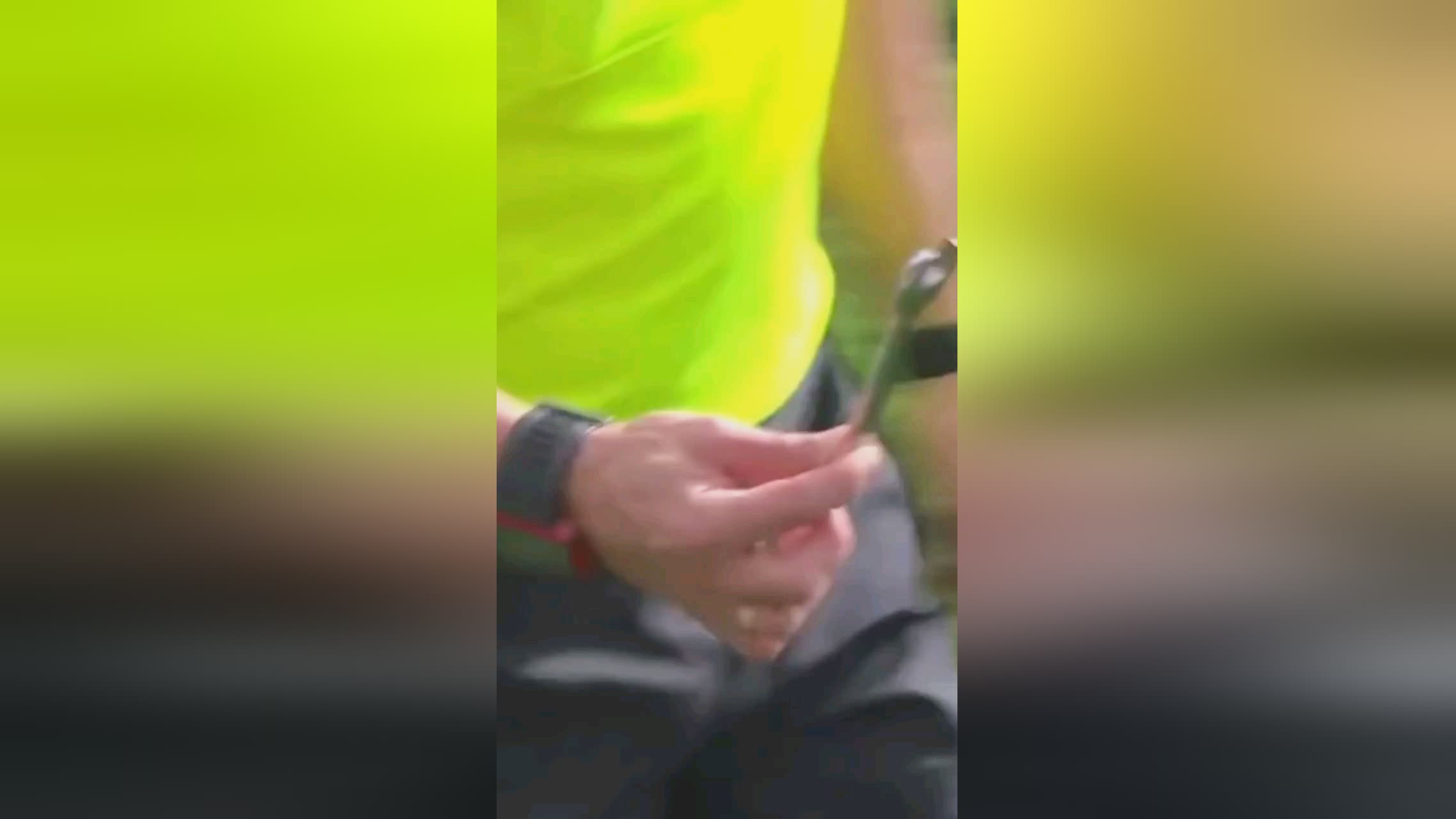 能够卫冕
